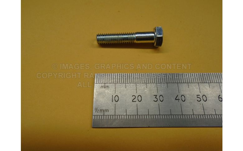 450001 BOLT-HEX M6 x 30 (is to obtain from im)