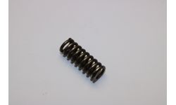 FRICTION SPRING